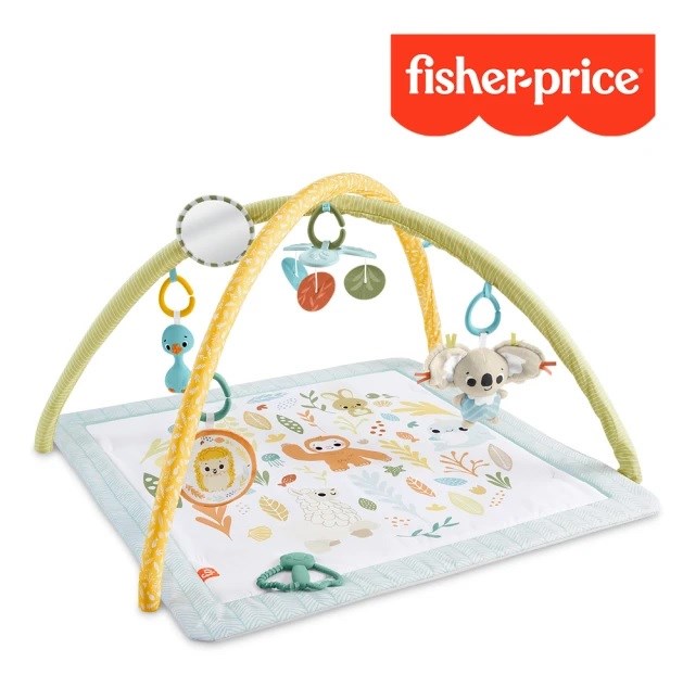 Fisher price 費雪 基礎感官訓練健身器
