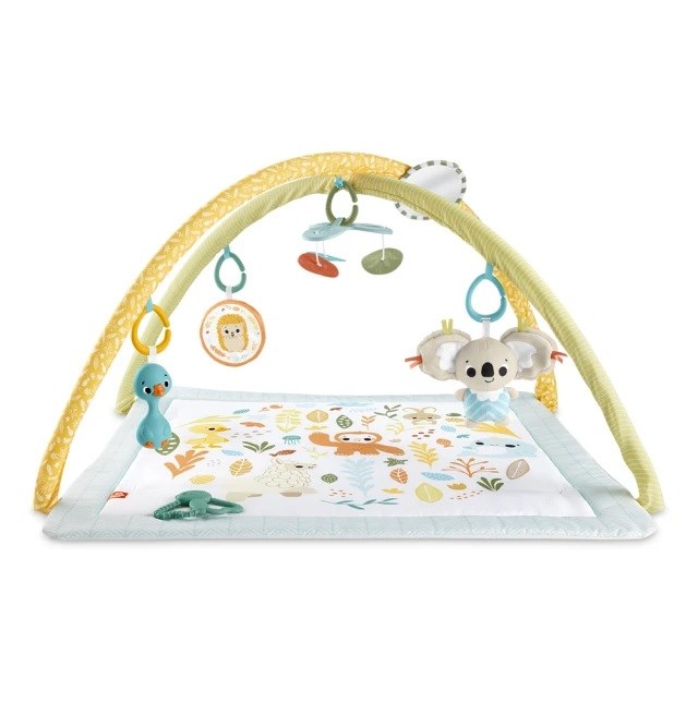 Fisher price 費雪 基礎感官訓練健身器