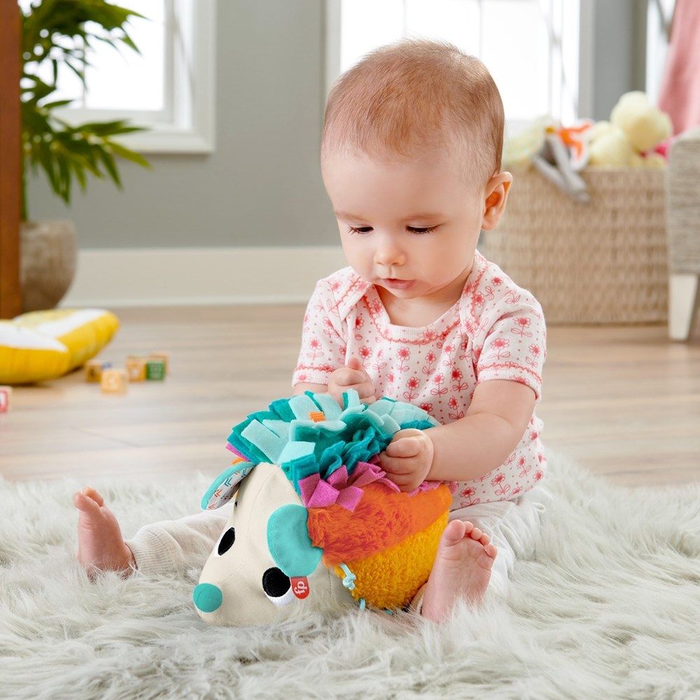 奇哥 Fisher-Price 費雪 可愛感官小刺蝟